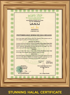 Stunning Halal Certificate